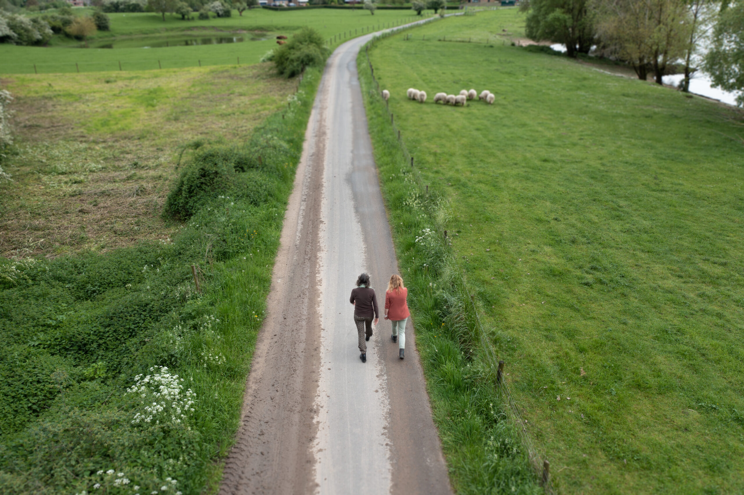 DJI_0203-Edit